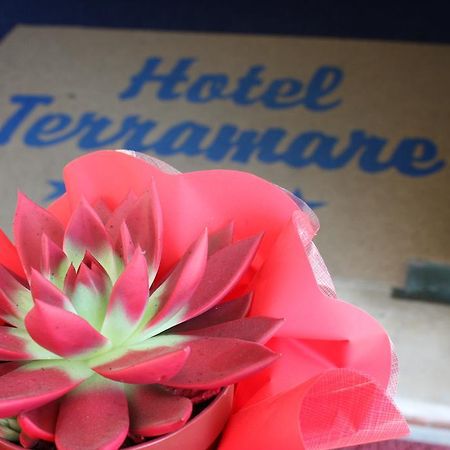 Hotel Terramare Lido di Jesolo Exteriér fotografie