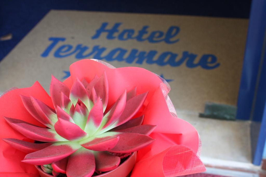 Hotel Terramare Lido di Jesolo Exteriér fotografie